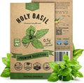 Organo Republic Holy Basil Seeds Pack 0.5 G - Over 1,400 Non-GMO Heirloom Basil Seeds for Planting Herbs in Individual Seed Packet, Herbs Seeds for Planting Home Garden Indoor & Outdoor Gardening