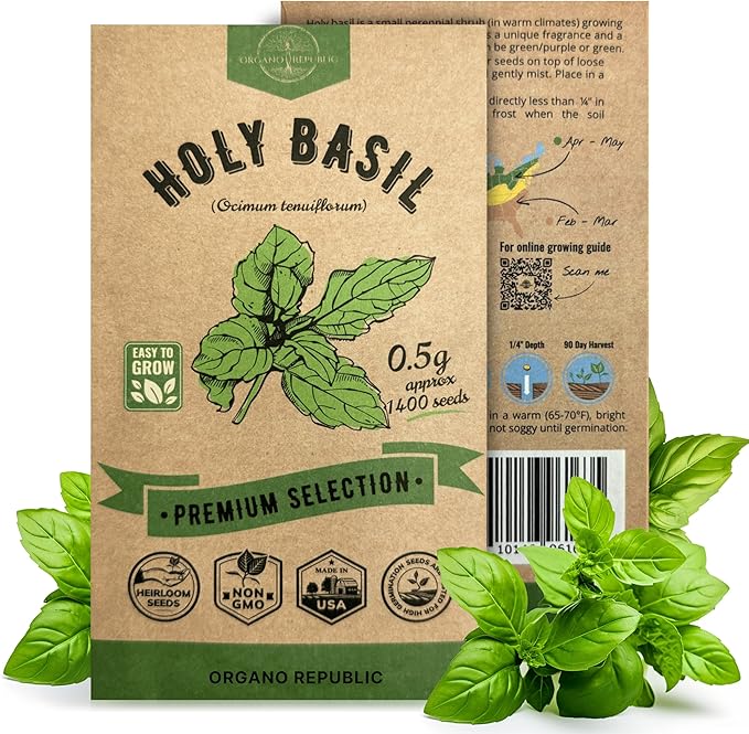 Organo Republic Holy Basil Seeds Pack 0.5 G - Over 1,400 Non-GMO Heirloom Basil Seeds for Planting Herbs in Individual Seed Packet, Herbs Seeds for Planting Home Garden Indoor & Outdoor Gardening