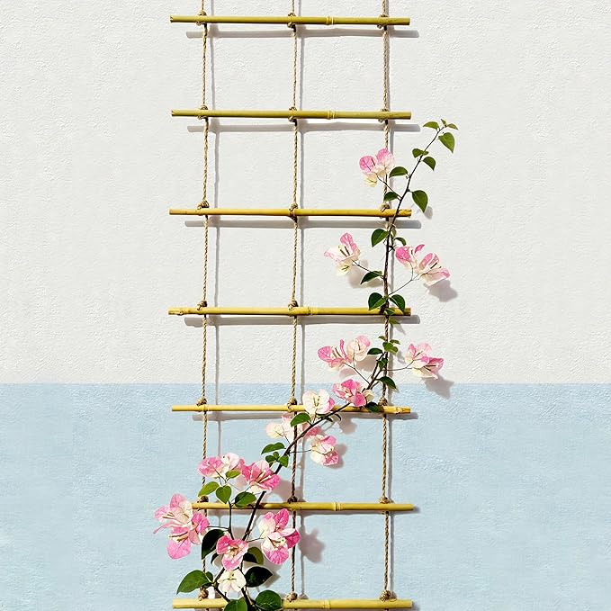Natural Bamboo Ladder Plant Trellis 79 in L x 12 in D Ideal for Climbing Plants, Providing Reliable Support Suitable for Outdoor Walls, Gardens, patios, and Similar Settings