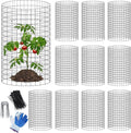 winemana 12 Set Garden Plant Protector Cage, 16x12 in Metal Wire Protectors for Plants, Protection Cages with Stakes & Ties, Animals Barrier to Keep Rabbit & Chicken Away from Flower Vegetables(Black)