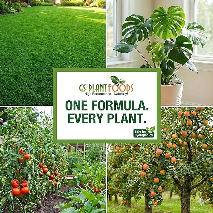 GS Plant Foods Humic Acid Soil Amendment – Leonardite-Derived Liquid Concentrate for Improved Soil Structure & Nutrient Availability – OMRI Listed for Organic Use – 32 Oz