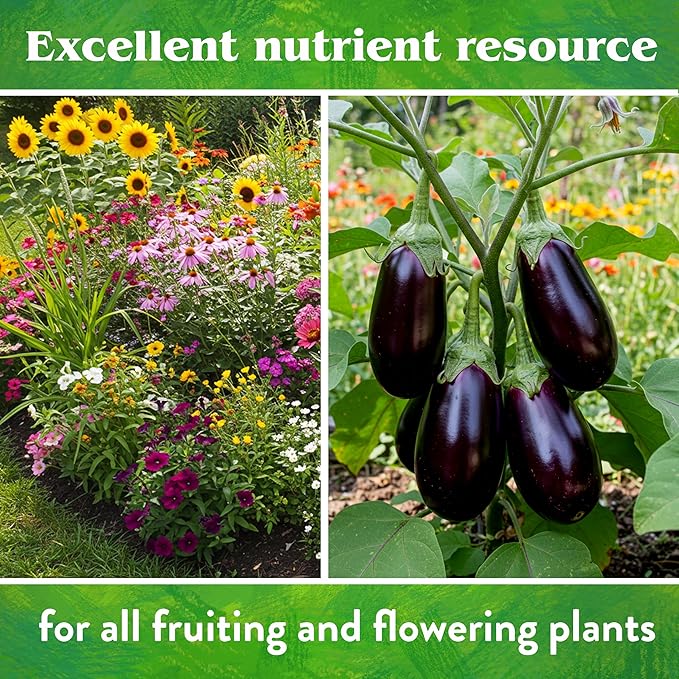 Down To Earth All Natural Fertilizers Organic Rock Phosphate - Calcium Phosphate Plant Food for Flower Beds and Vegetable Gardens 0-3-0, 5 lb
