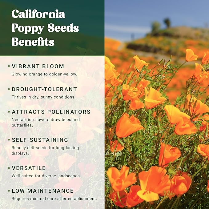 Nature’s Seed California Poppy Wildflower Seeds for Planting, Drought Tolerant, Pollinator Friendly, 0.5 lbs
