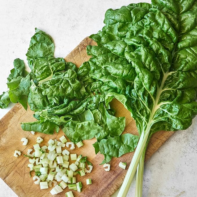 Burpee Fordhook Giant Swiss Chard Seeds - Heirloom Spinach Substitute Greens