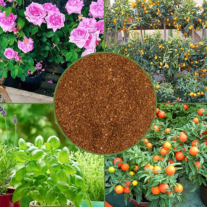 Soil Sunrise Dry Horticultural Molasses Powder (4 Pounds) Indoor/Outdoor Gardening Soil Amendment for Plants