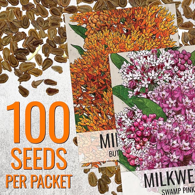 Seed Needs Milkweed Seeds for Planting Butterfly Orange/Swamp Pink Asclepias Flowers - Heirloom Wildflowers to Attract Monarch Butterflies to a Butterfly Garden