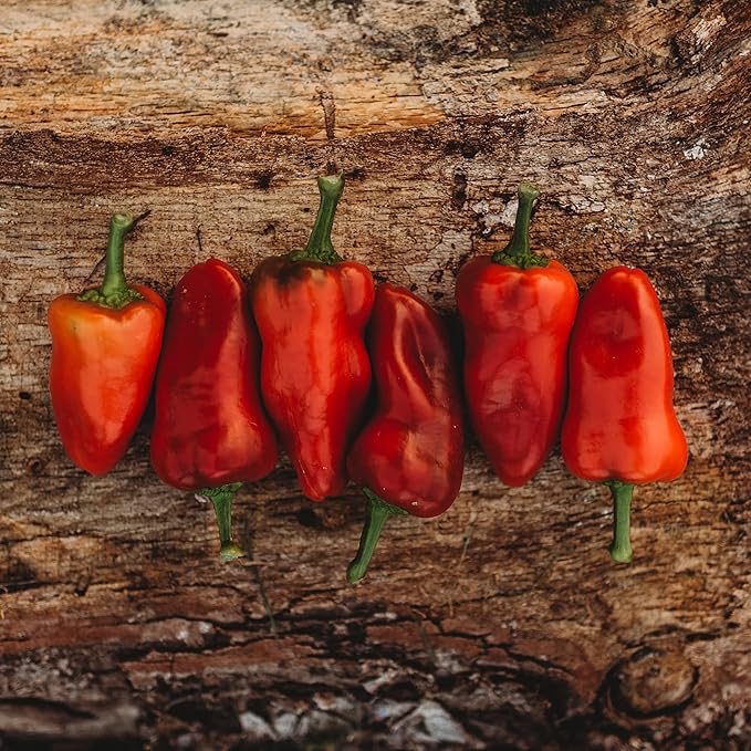 Fresno Chile Pepper - 25 Seeds - Heirloom & Open-Pollinated Variety, Non-GMO Vegetable Seeds for Planting in The Home Garden, Thresh Seed Company