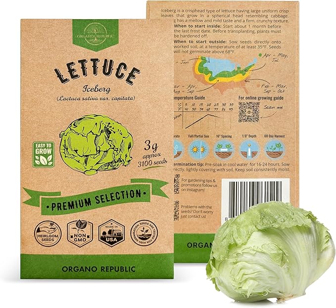 Lettuce Iceberg Seeds Pack 3G - Over 3,100 Non-GMO Heirloom Lettuce Seeds for Planting Greens in Individual Seed Packet, Greens Seeds for Planting Home Garden Indoor & Outdoor Gardening