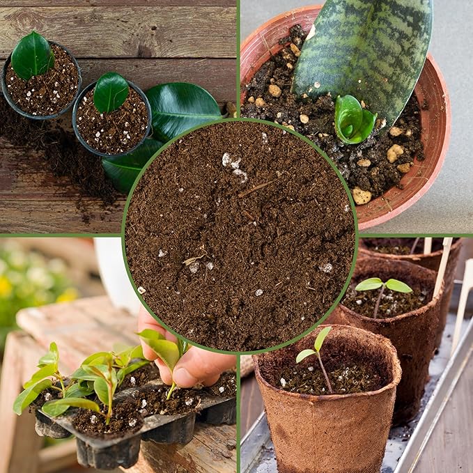 Soil Sunrise Plant Propagation Potting Mix (8 Quarts); Ideal Starter Mix for Rooting Plant Cuttings