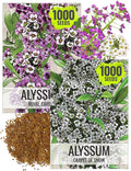 Seed Needs Alyssum Seeds for Planting - Heirloom & Untreated - Tender Perennial Flowers to Attract Pollinators to Rock Gardens, Pots, Containers & Window Boxes