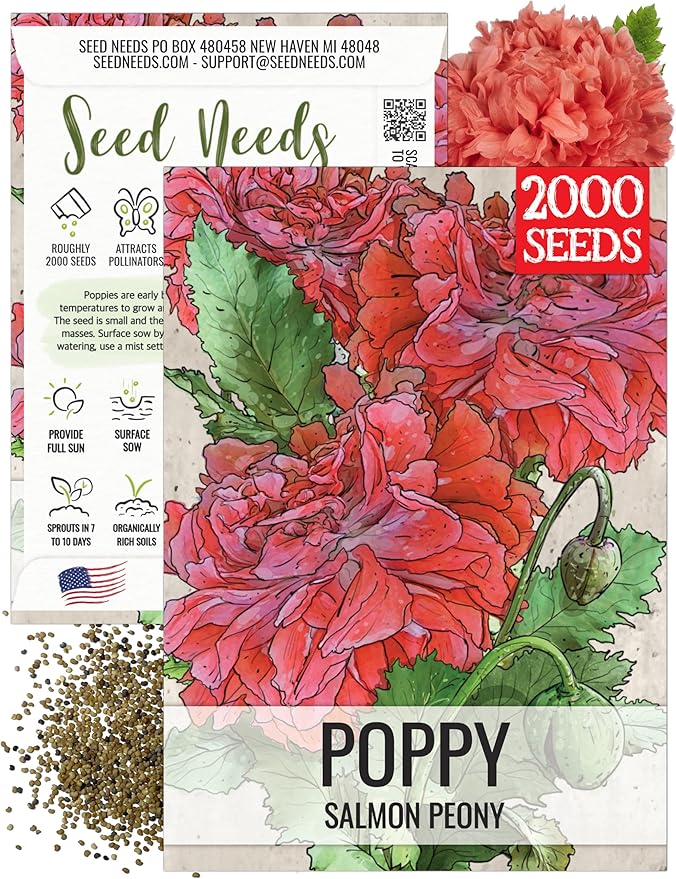 Seed Needs Poppy Seeds for Planting Salmon Peony Poppies - Heirloom & Open Pollinated Flowers to Attract Butterflies & Pollinators to a Butterfly Garden (1 Pack)