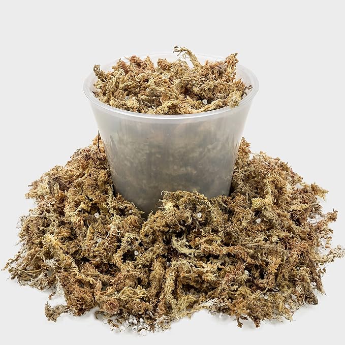 Gardenera Sphagnum Moss Potting Mix for Carnivorous Plants, Moss and Perlite Blend for Potting Venus Fly Traps, Sarracenia, Pitcher Plants - 75% Sphagnum Moss + 25% Perlite - Made in USA - 4 Quart