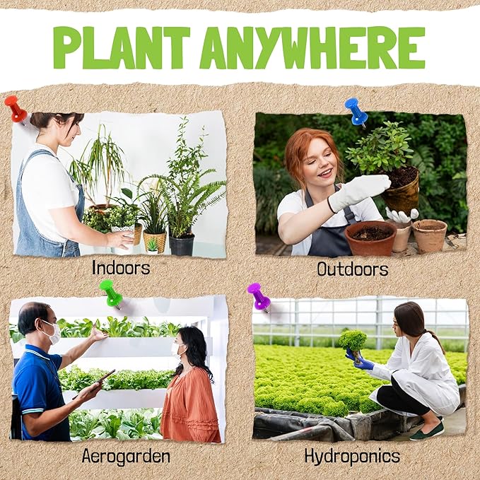 Sustainable Sprout Medicinal Tea Seeds, 8 Variety Pack Herbal Tea Heirloom Seeds, Catnip, Lavender, Peppermint, Lemon Balm, Bee Balm, Echinacea, Sage & Chamomile for Planting, Homesteading Essentials