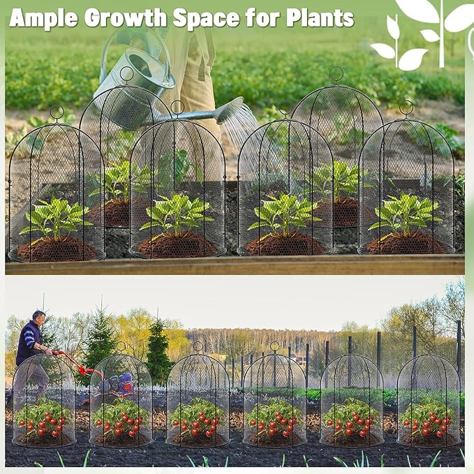 Novabright 2 Pack Garden Cloches for Plants 12" x 16" with Stakes & Zip Ties, Plant Covers from Animals Large Metal Mesh Chicken Wire Cloche Plant Protector Cage for Vegetable Garden Outdoor (Black)