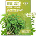 KVITER 700 Lemon Balm Seeds for Planting (Melissa Officinalis) – Heirloom & Organic Medicinal Herb Seeds – Grow in Herb Garden, Pots, Beds Indoors & Outdoors for Calming Lemon Balm Tea