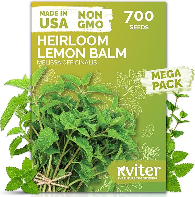 KVITER 700 Lemon Balm Seeds for Planting (Melissa Officinalis) – Heirloom & Organic Medicinal Herb Seeds – Grow in Herb Garden, Pots, Beds Indoors & Outdoors for Calming Lemon Balm Tea