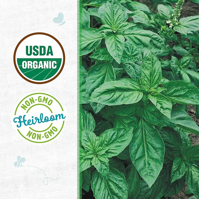 Back to The Roots 100% Organic Seed Packet Basil Genovese