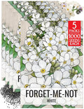Seed Needs White Forget Me Not Seeds for Planting Myosotis Flowers - Heirloom & Open Pollinated Wildflowers to Plant an Outdoor Butterfly Garden to Attract Pollinators (5 Packs)