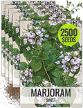 Seed Needs Sweet Marjoram Seeds for Planting - Heirloom, Non-GMO & Untreated - Perennial Culinary & Medicinal Herbs for Indoor/Outdoor Growing (5 Packs)