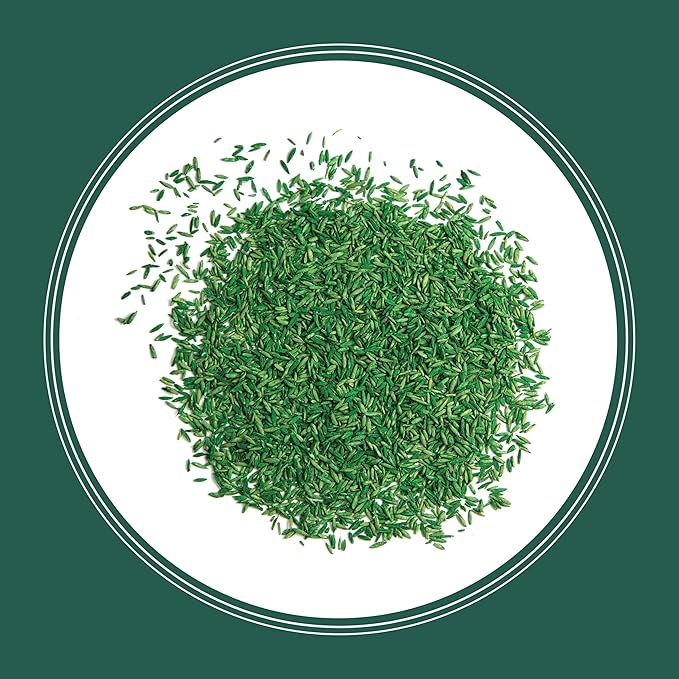 Pennington Smart Seed Sun and Shade Grass Mix 7 lb