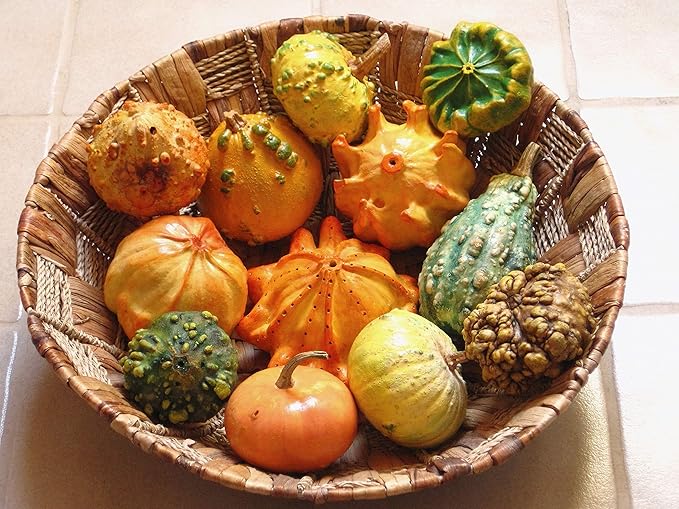 SeedsUP - 10+ Seeds Ornamental Pumpkin - Vegetable Mix