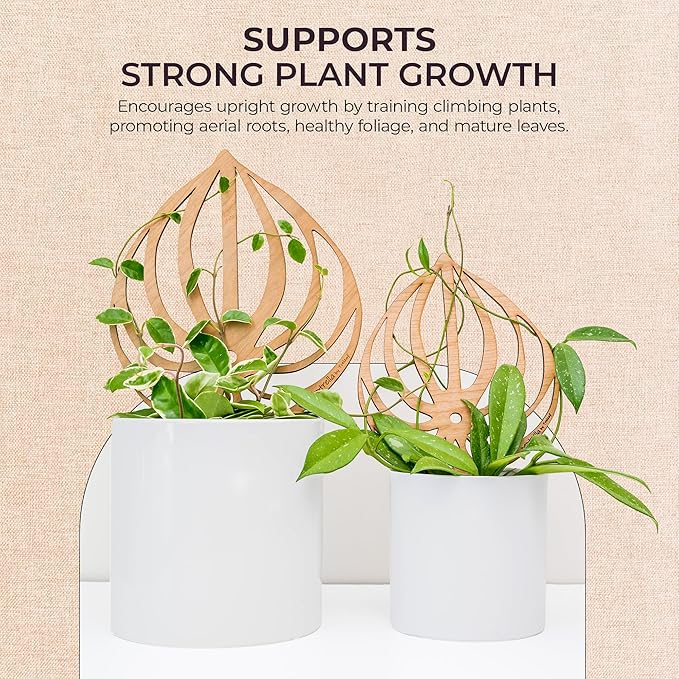 Treleaf Peptrella Watermelon Peperomia Inspired Wooden Trellis – Petite Size 9" Indoor Plant Support for Hoyas and Climbing Plants – Decorative Houseplant Trellis and Wooden Plant Stake