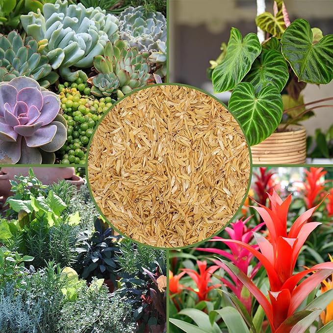 Soil Sunrise Horticultural Grade Rice Hulls (4 Quarts) All Natural Organic for House Plants and Chicken Bedding