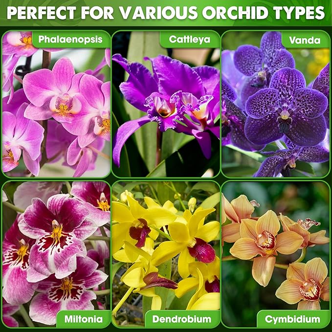 [Upgraded] DUSPRO Orchid Potting Mix for Repotting with Forest Moss, Pine Bark, Perlite & Pumice Natural Ingredients, Orchid Bark Potting Mix, Orchid Repotting Kit Drainage Indoor Potting Medium 6QT
