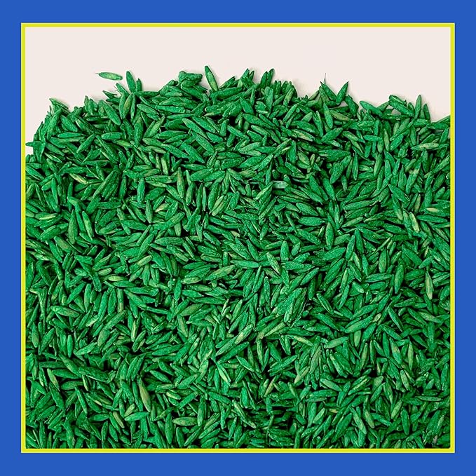 Pennington Smart Seed Clover and Grass Mix 7 lb (Pack of 2)