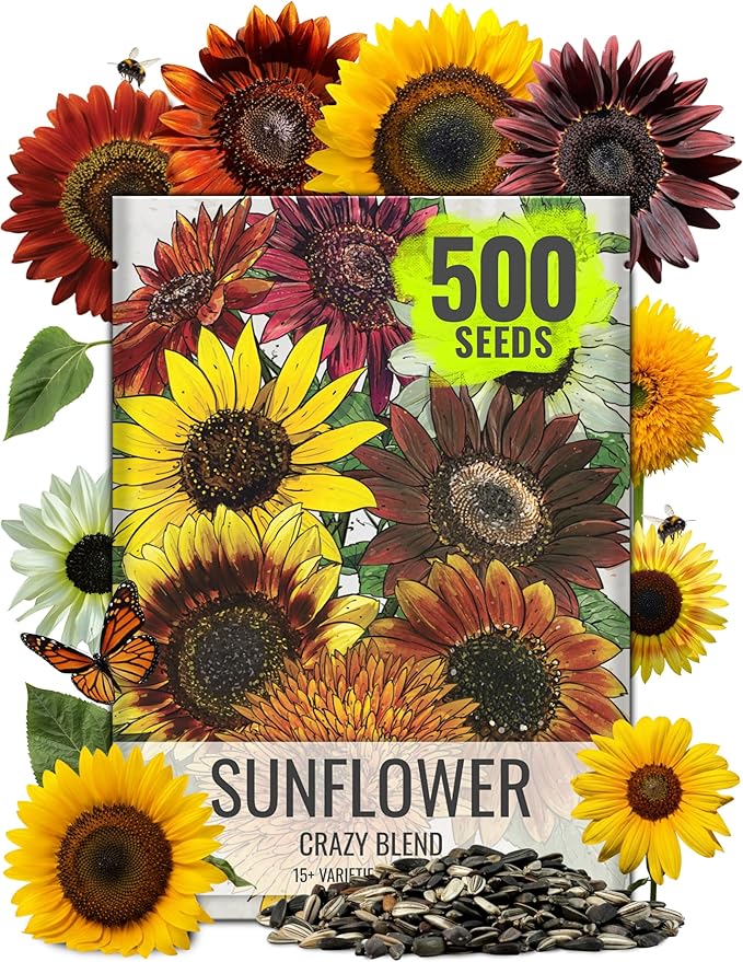 Seed Needs Sunflower Seeds to Plant The Original Crazy Blend | 500+ Heirloom Seeds 15+ Varieties Open Pollinated & Untreated | Resealable Bulk Package Multicolored Blooms Flower Seed