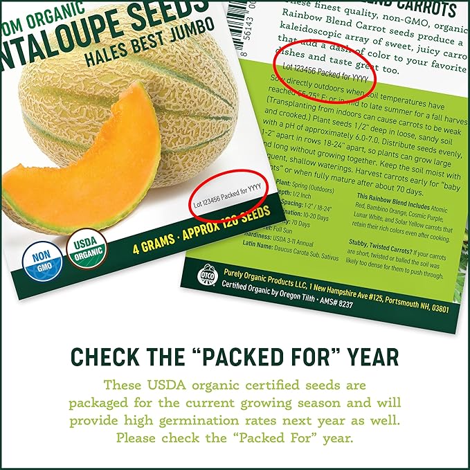 Organic Cantaloupe Seeds (Hales Best Jumbo) - Approx 80 Seeds - USDA Organic, Non-GMO, Open Pollinated, Heirloom, USA Origin