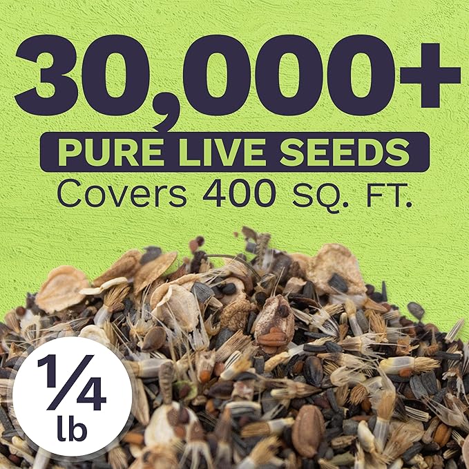 Drought Tolerant Wildflowers Mix – Bulk Quarter Pound Bag – Over 30,000 Open Pollinated Non-GMO Seeds – 21 Different Dryland Species