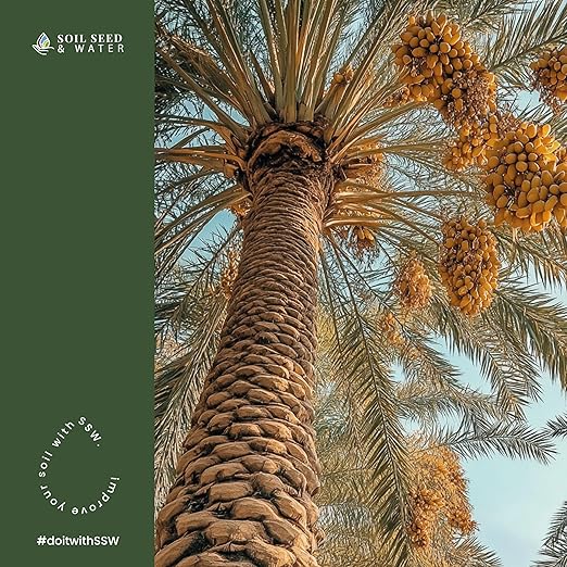 Soil Seed & Water Oasis Blend Organic Fertilizer for Palm & Date Trees – Soil Amendment for Tropical Landscapes - OMRI Listed Organic Fertilizer