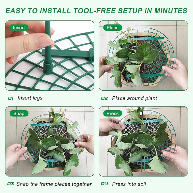 10 Pack Round Strawberry Plant Support,Strawberry Growing Kit,Reusable Plant Supports for Indoor Outdoor Growing