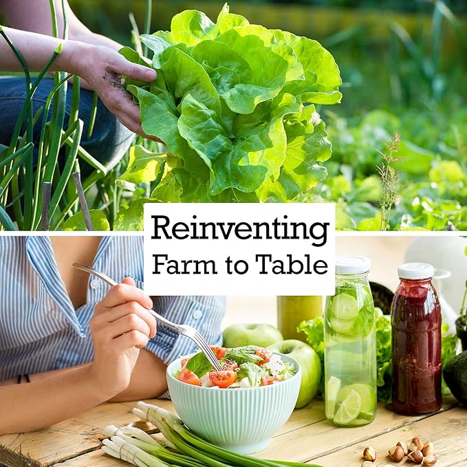 Long Purple Eggplant Garden Seeds - 1 Oz ~6,160 Seeds - Non-GMO, Heirloom, Vegetable Gardening Seed - Egg Plant - Solanum melongena