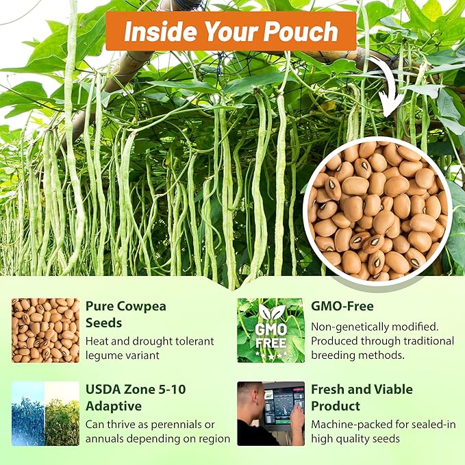 Outsidepride Cowpeas Seeds - 10 lbs Heat & Drought-Tolerant, Nutrient-Rich Cowpea Seeds for Cover Crops, Food Plots, Forage - Ideal for Planting, Enhancing Soil Health, and Improving Soil Fertility