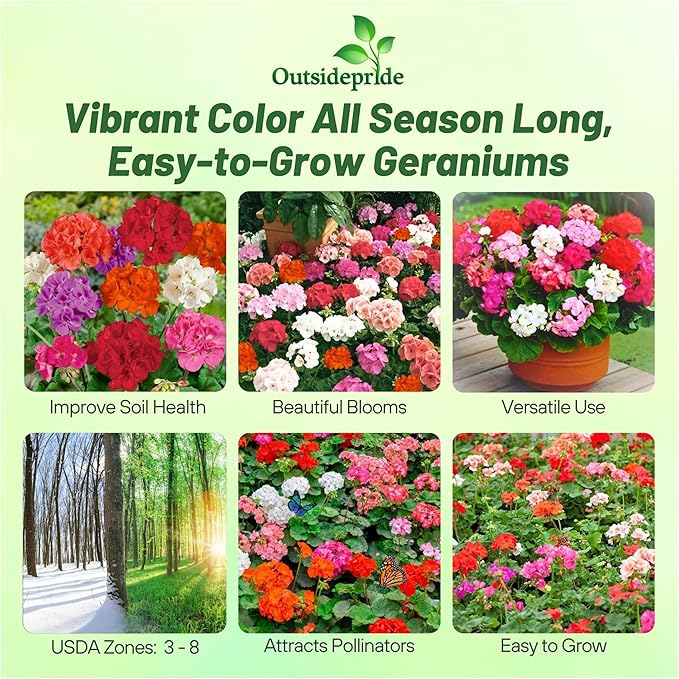 Outsidepride Mix Geranium Seeds for Planting - 200 Pcs Annual, Heat & Drought Tolerant Flower Seeds with Green Foliage & Mix Blooms for Pots, Borders & Lush Summer Garden Displays