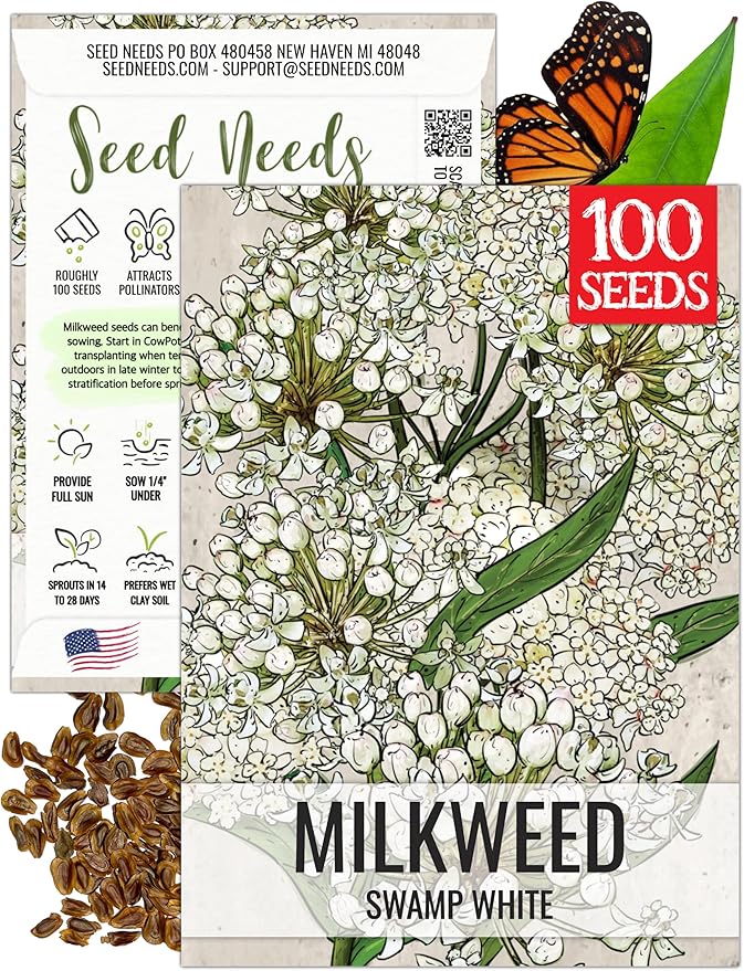 Seed Needs Milkweed Seeds for Planting White Asclepias incarnata - Heirloom & Open Pollinated Wildflower Seed to Plant Perennial Flowers in a Butterfly Garden (1 Pack)