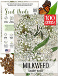 Seed Needs Milkweed Seeds for Planting White Asclepias incarnata - Heirloom & Open Pollinated Wildflower Seed to Plant Perennial Flowers in a Butterfly Garden (1 Pack)