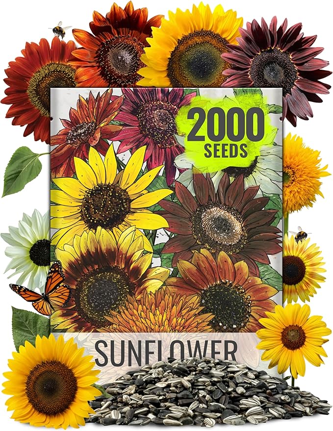 Seed Needs Sunflower Seeds for Planting The Original Crazy Blend | 2 Ounce 15+ Heirloom Varieties Open Pollinated & Untreated | Resealable Bulk Package Multicolored Blooms Flower Seeds