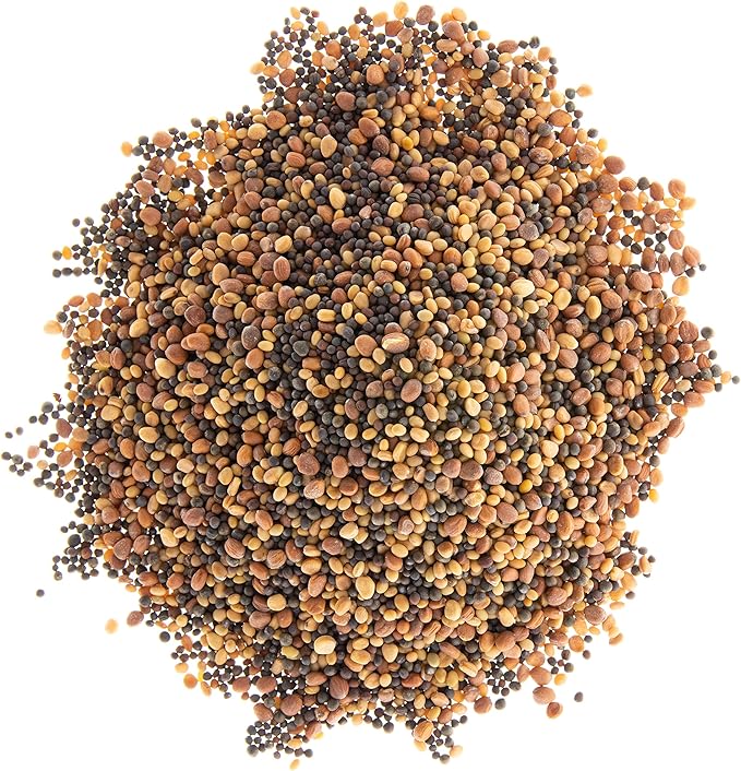 Spicy Sprouting Mix | Contains Tendergreen, Radish & Crimson Clover Seeds for Sprouting | Non GMO Heirloom Seeds | Bulk 1 LB Resealable Bag | Rainbow Heirloom Seed Co.