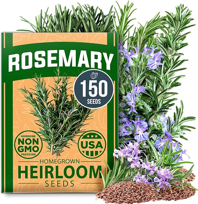 HOME GROWN Herb & Lettuce Seeds 3-Pack – Rosemary (150), Peppermint (2,370), Buttercrunch Lettuce (3,950) – Non-GMO, USA-SOURCED Heirloom Seeds for Indoor & Outdoor Growing