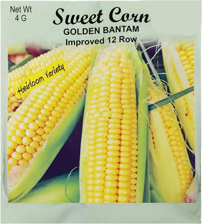 Set of 50 Sweet Corn Golden Bantam Vegetable Seed Packs - 100% GMO Free - Heirloom - Black Duck Brand (50, Sweet Corn- Golden Bantam)