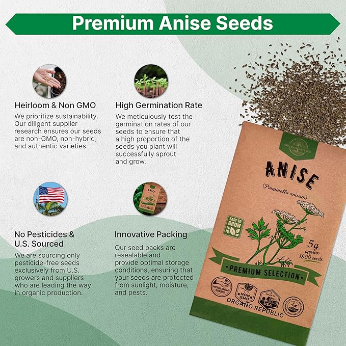 Organo Republic Anise Seeds Pack 5G - Over 1800 Non-GMO Heirloom Anise Seeds for Planting Herbs in Individual Seed Packet, Herbs Seeds for Planting Home Garden Indoor & Outdoor Gardening