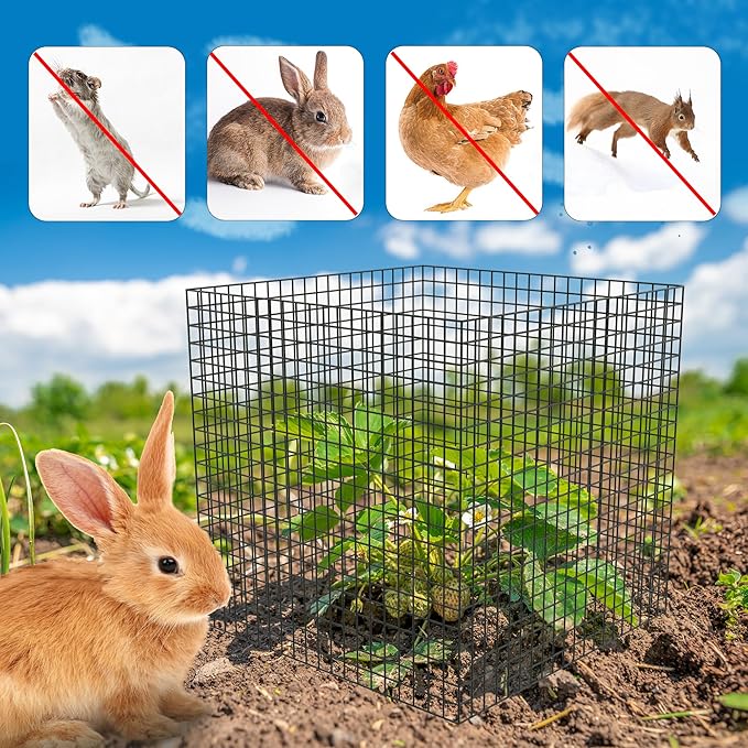 UNIFAMILY 8Pcs Plant Protectors from Animals, 2 Pack Metal Wire Plant Cage, Garden Protector Cage from Deer, Mesh Garden Protector from Rabbits, Chicken Wire Plant Covers from Animals