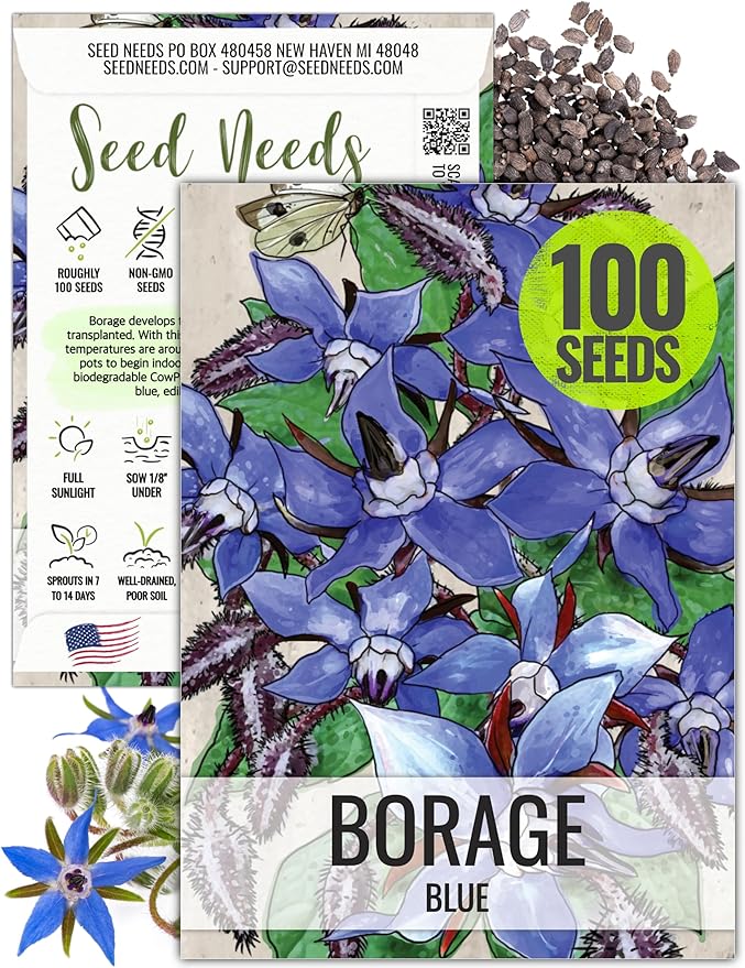 Seed Needs Borage Seeds for Planting Blue Star Flowers - Heirloom Non-GMO & Untreated - Plant a Home Grown Flowering Herb Garden Attract Bees, Butterflies & Other Pollinators (1 Pack)