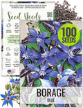 Seed Needs Borage Seeds for Planting Blue Star Flowers - Heirloom Non-GMO & Untreated - Plant a Home Grown Flowering Herb Garden Attract Bees, Butterflies & Other Pollinators (1 Pack)