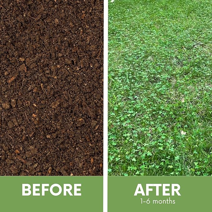 Flawn Seed Kits Micro Clover Seed + Mow Less Fine Fescue Grass, Low Maintenance, Eco-Lawn, Covers up to 500 Sqft