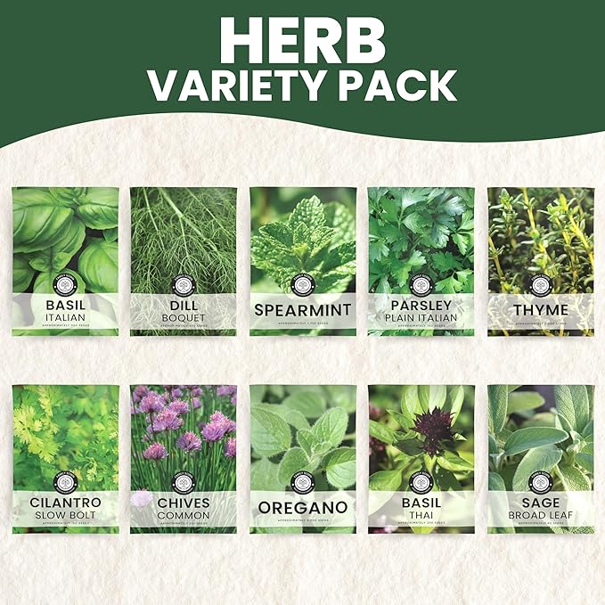 Herb Seeds | 10 Invidiual Packs | 2026 Season | Non-GMO | Mint, Parsley, Basil, Thyme & More! | for Planting Indoor & Outdoor | by Family Sown