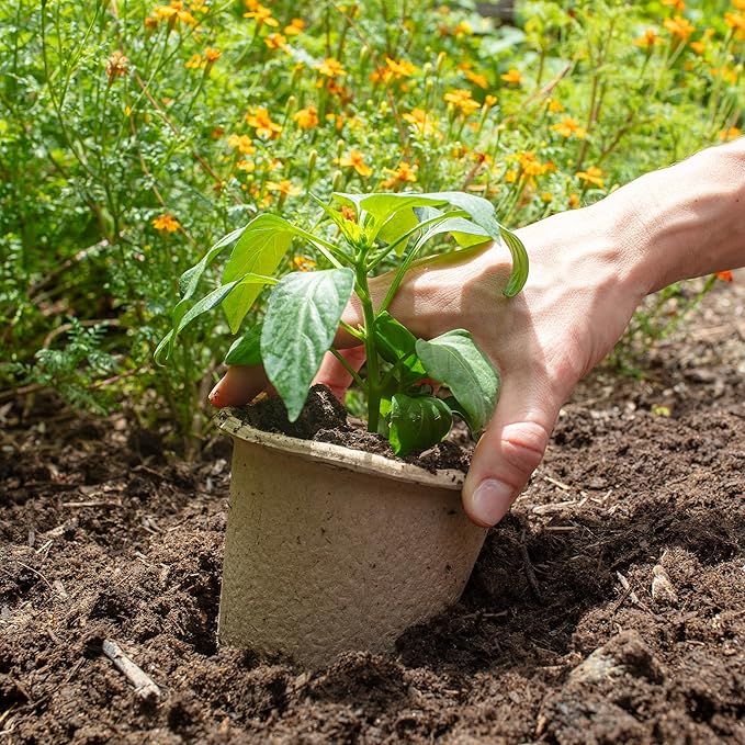 Back to The Roots Organic & PLANTABLE 4.25" Wide Seed Starting POTS (8 CT)